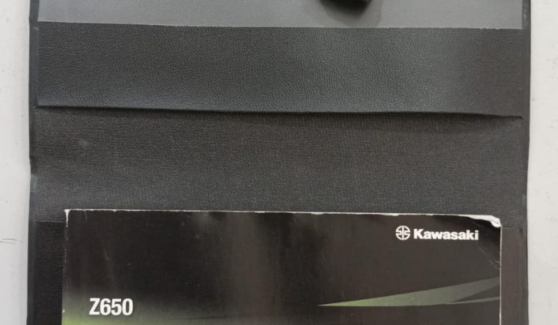 KAWASAKI Z-650 ABS 2024 cheio