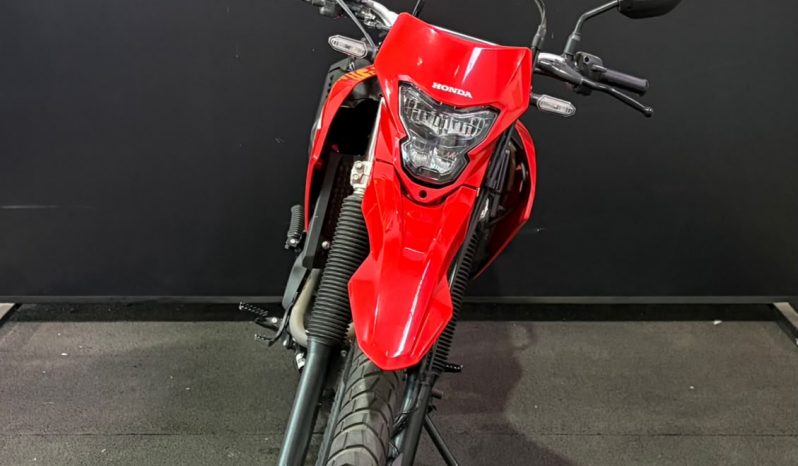HONDA XR-300L TORNADO 2025 cheio