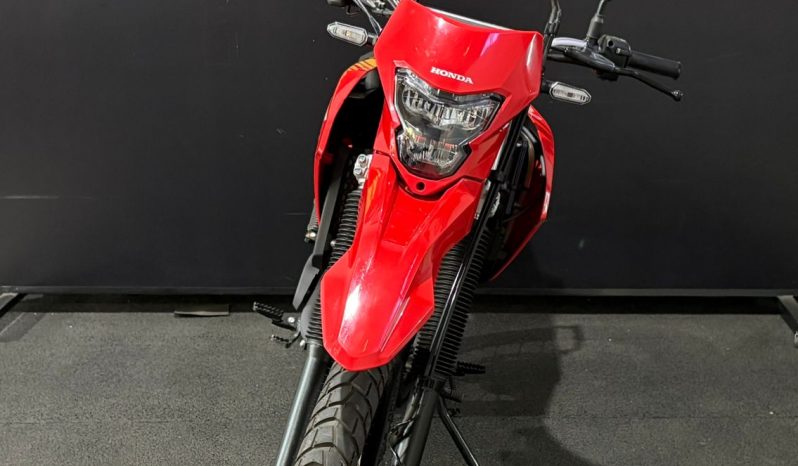 HONDA XR-300L TORNADO ABS 2025 cheio