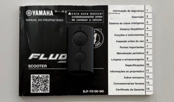 YAMAHA FLUO 125 2024 cheio