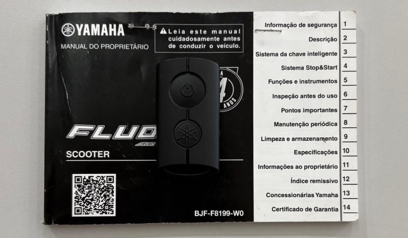 YAMAHA FLUO 125 2024 cheio