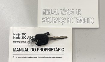 KAWASAKI NINJA 300 ABS 2018 cheio